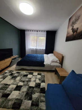 Casa Rusu -Moroasa-Self check in-24h Netflix